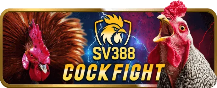Hoàn trả cược hàng ngày ON88